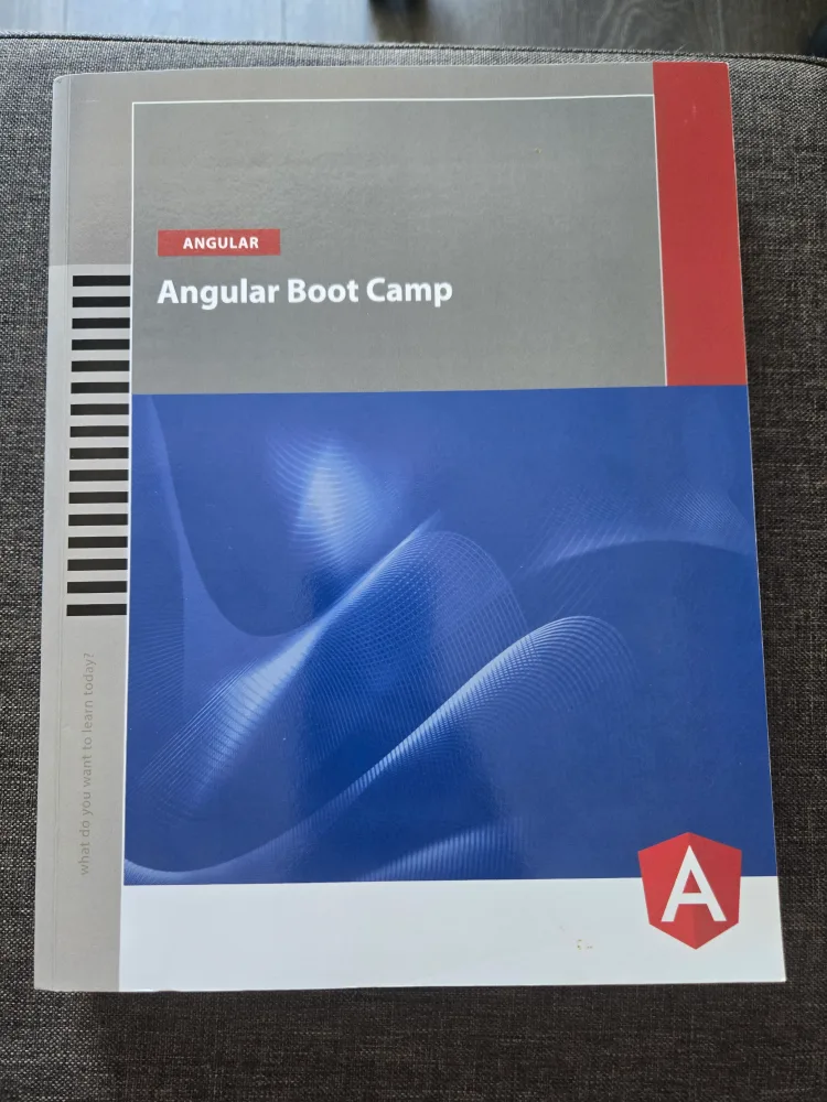 Angular Boot Camp Textbook thumbnail