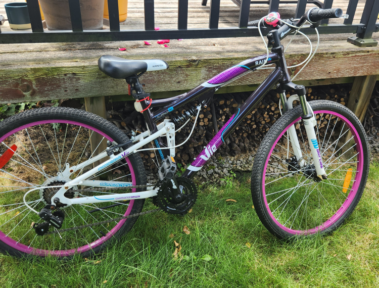 mountain bike