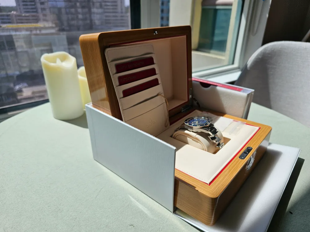 Omega Seamaster 300 Heritage model Blue Dial image indicator(6)