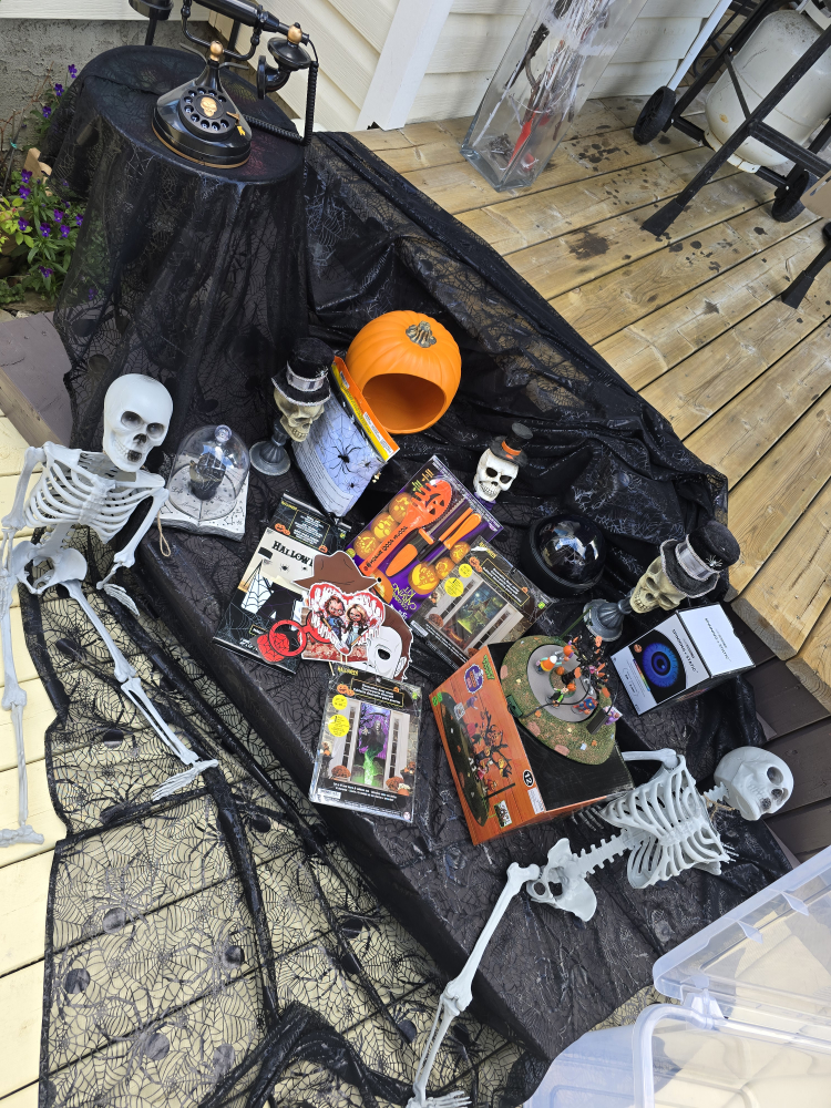 Halloween Decorations Lot - photo 2