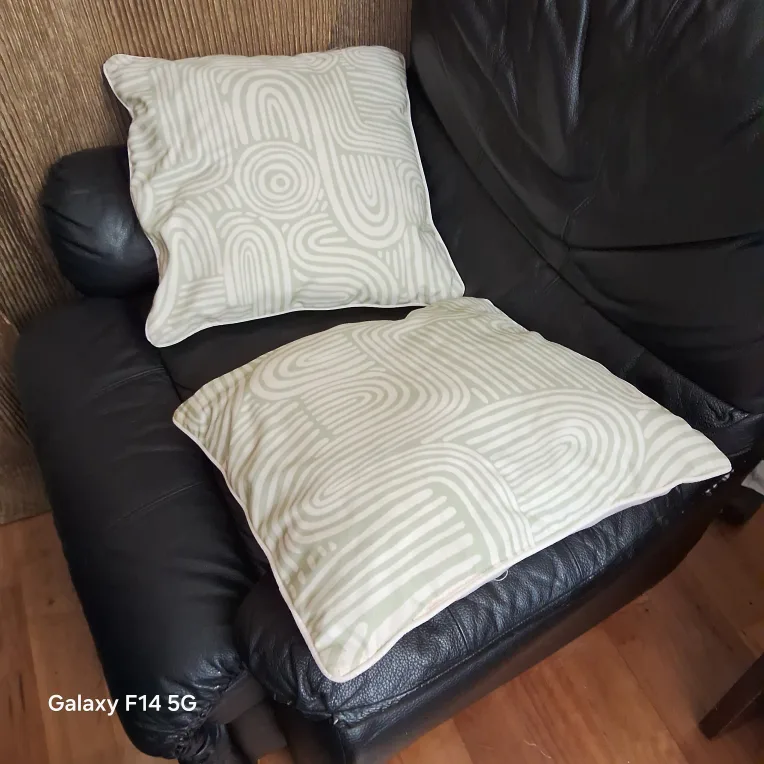 Decorative 2 Throw Pillows  (pick up before friday) thumbnail