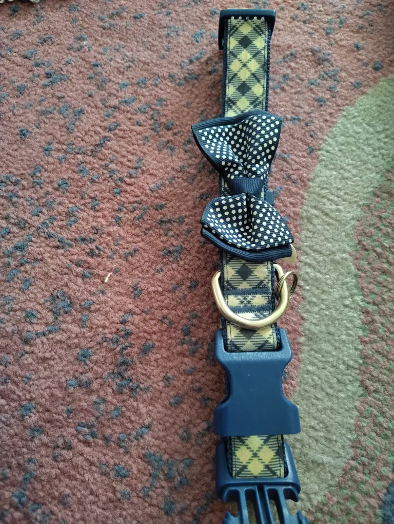 Dog Collars & Leashes image indicator(4)