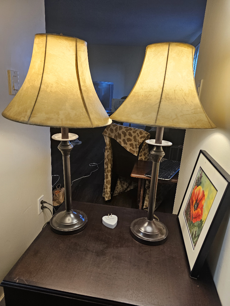 Pair of matching Table Lamps