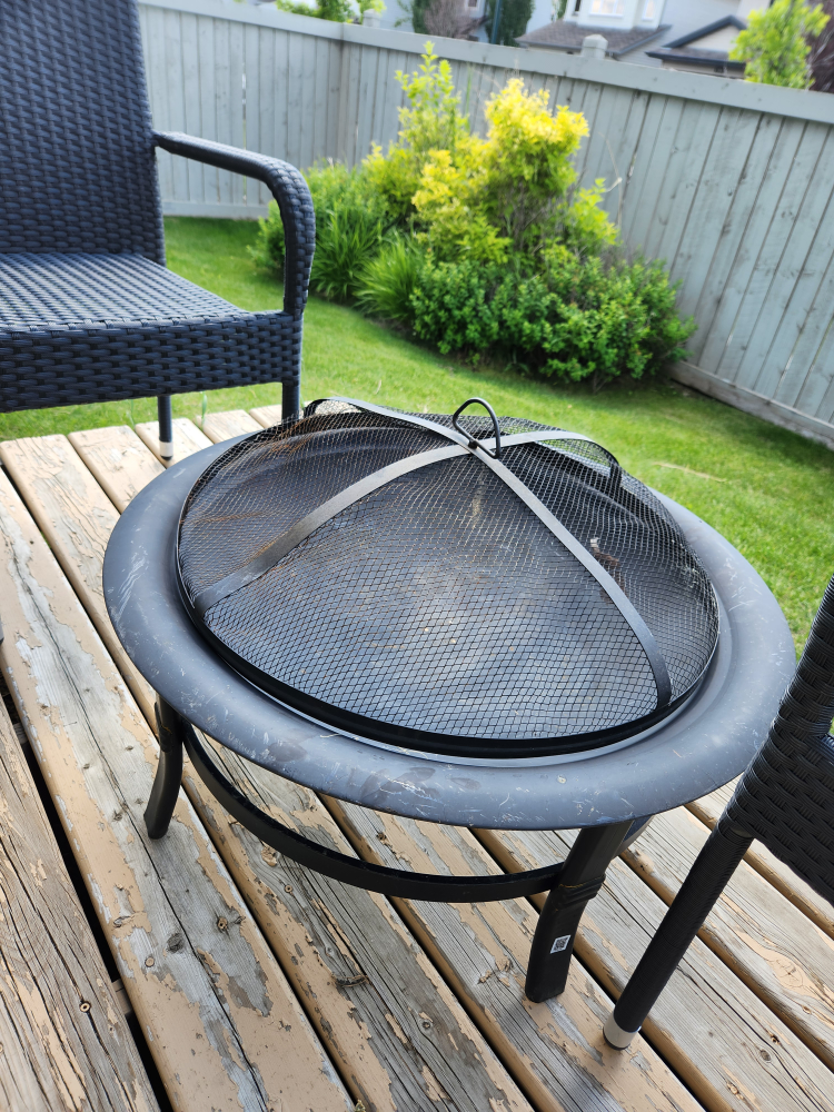 fire pit - photo 2