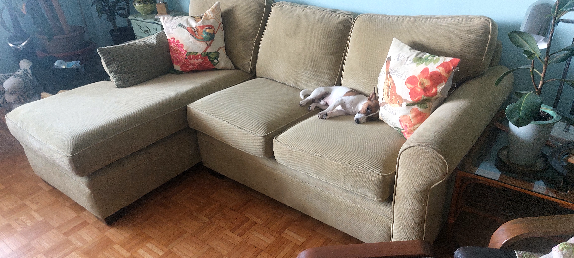 FREE Sofa - photo 4