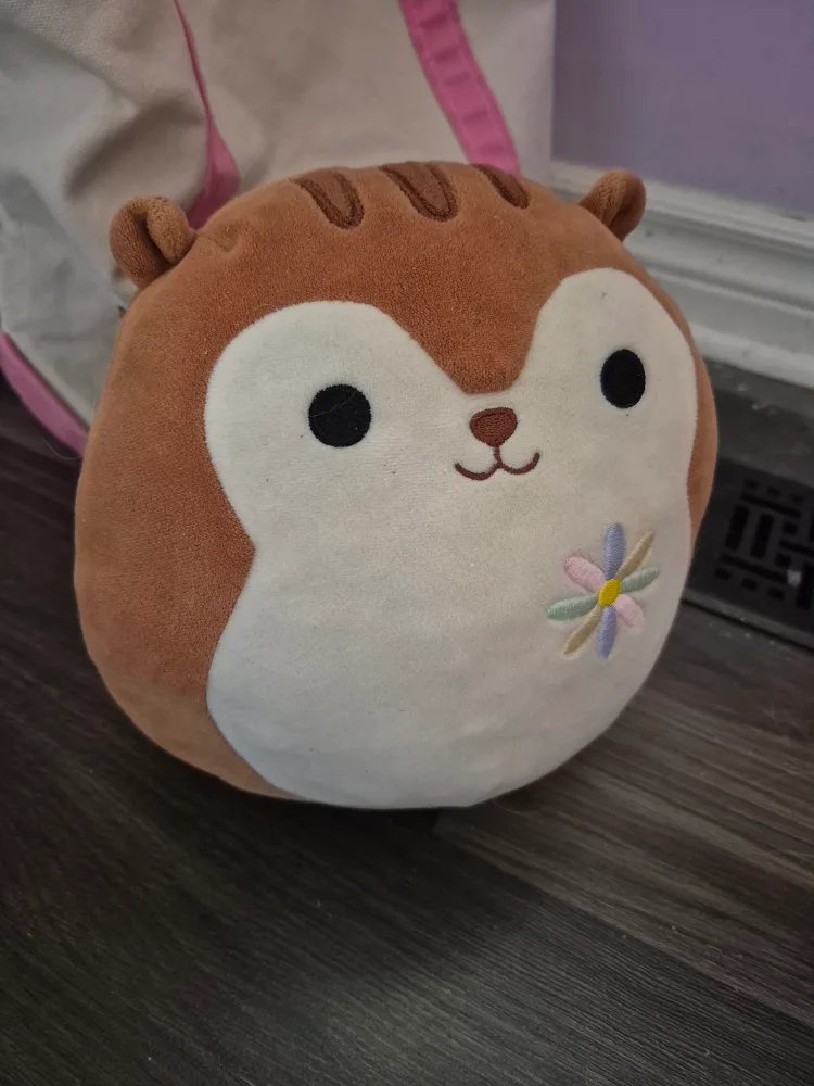 Squishmallow Squirrel Plush Toy thumbnail
