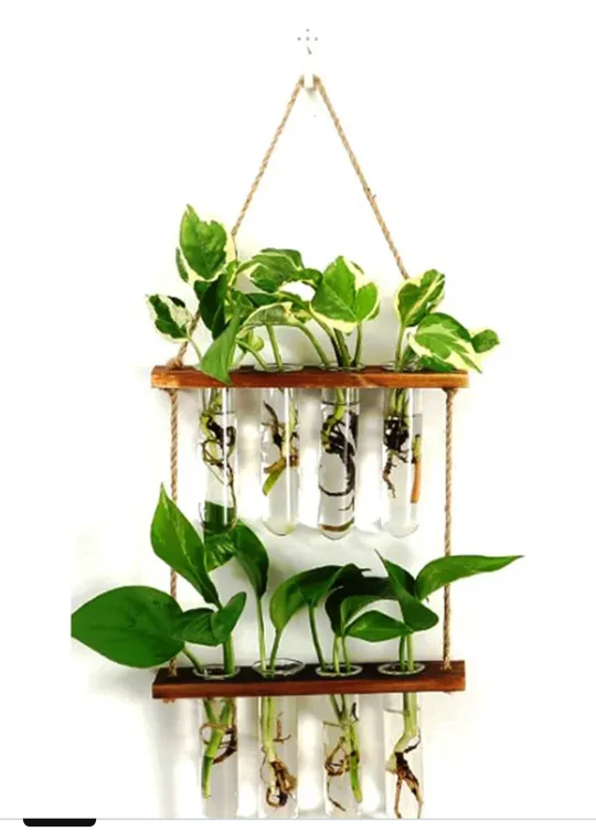 2 tier,5 tubes propagation station*new* thumbnail