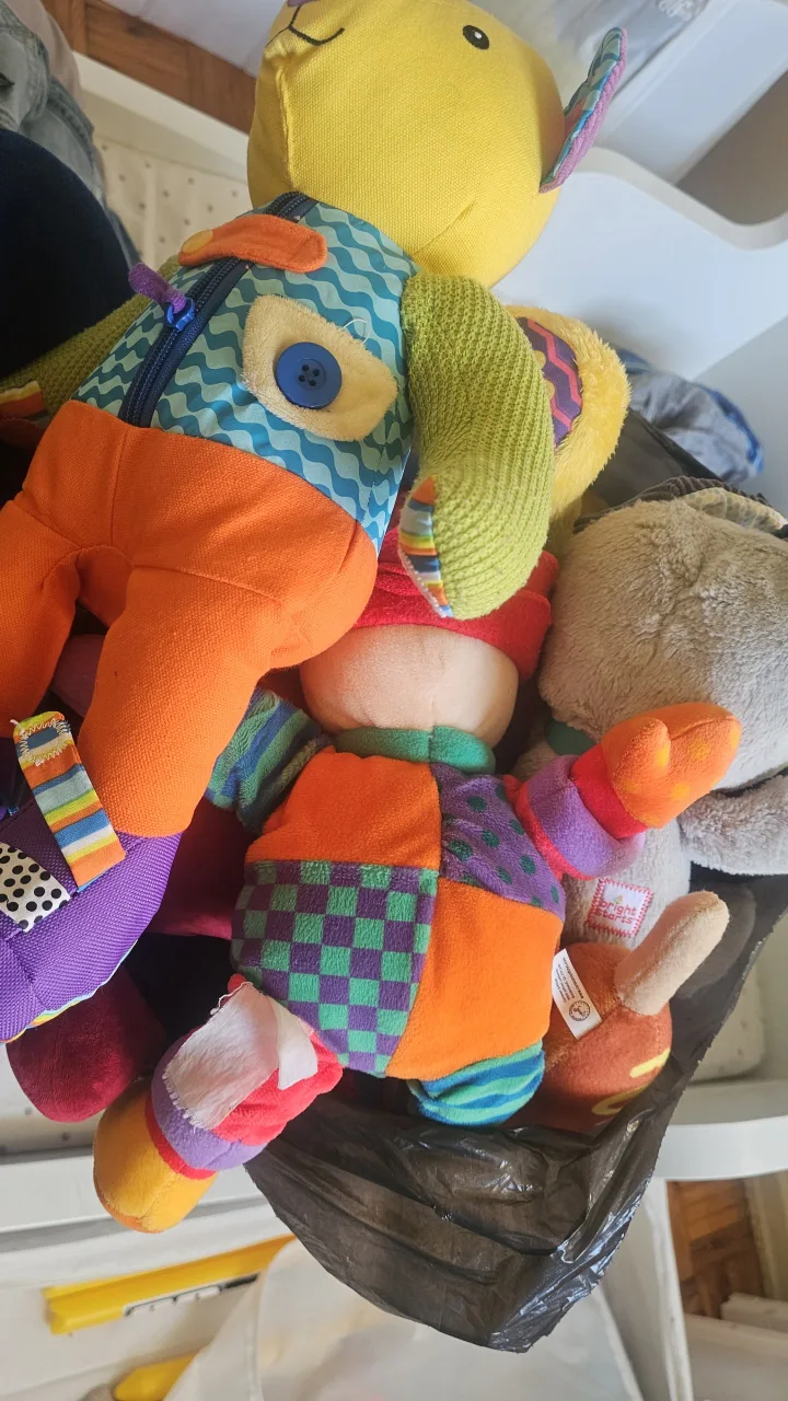 Bright Starts Plush Toys etc 🇨🇦 thumbnail