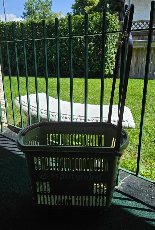 Esprit Global Rolling Shopping Basket - Green thumbnail
