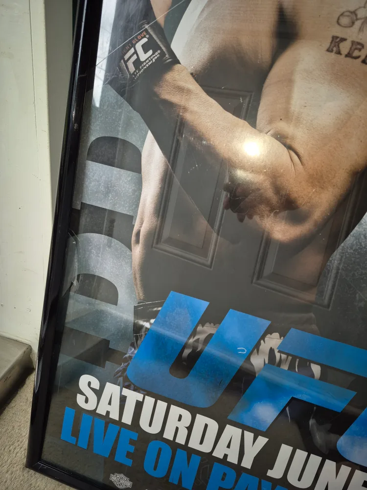 UFC 115 Framed Poster image indicator(2)