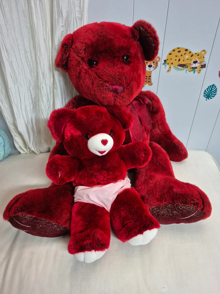 Red Plush Teddy Bear Set thumbnail