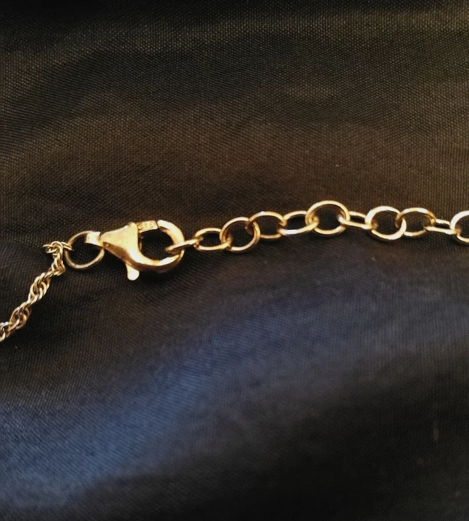 New! Bitter Sweet Sterling Silver Necklace image indicator(6)