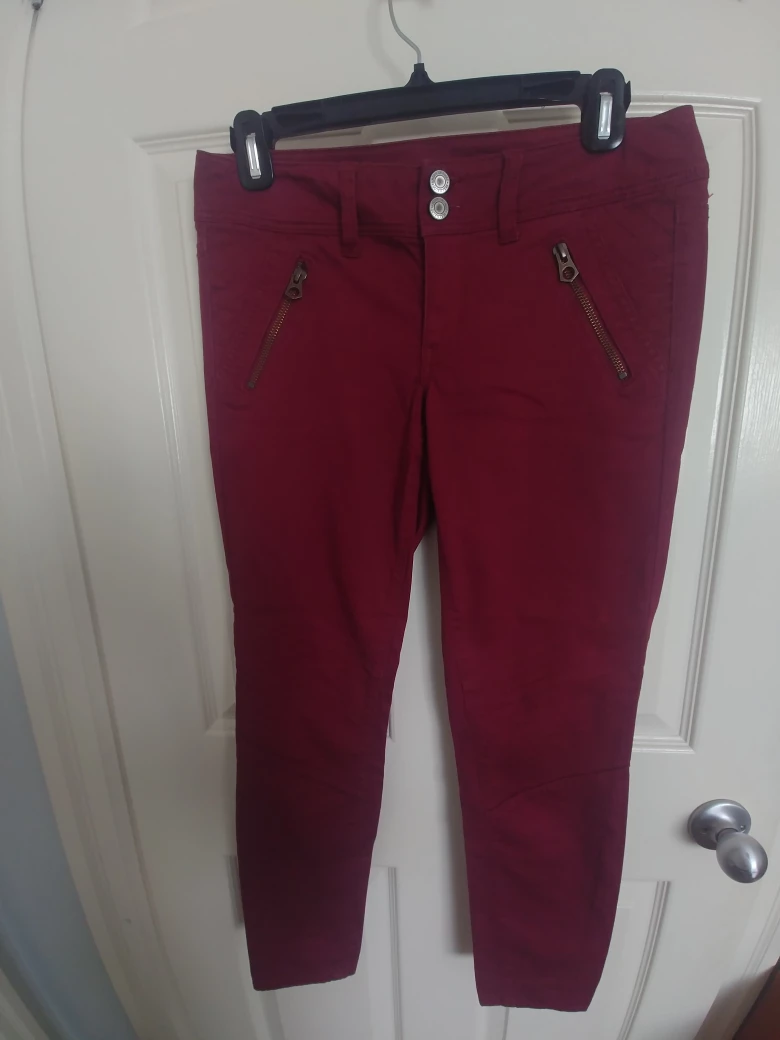 American Eagle Outfitters Maroon Pants