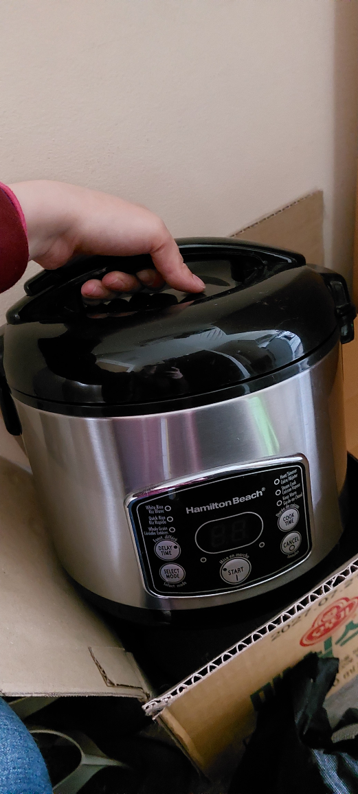 Hamilton Beach Rice Cooker *missing rice bucket*