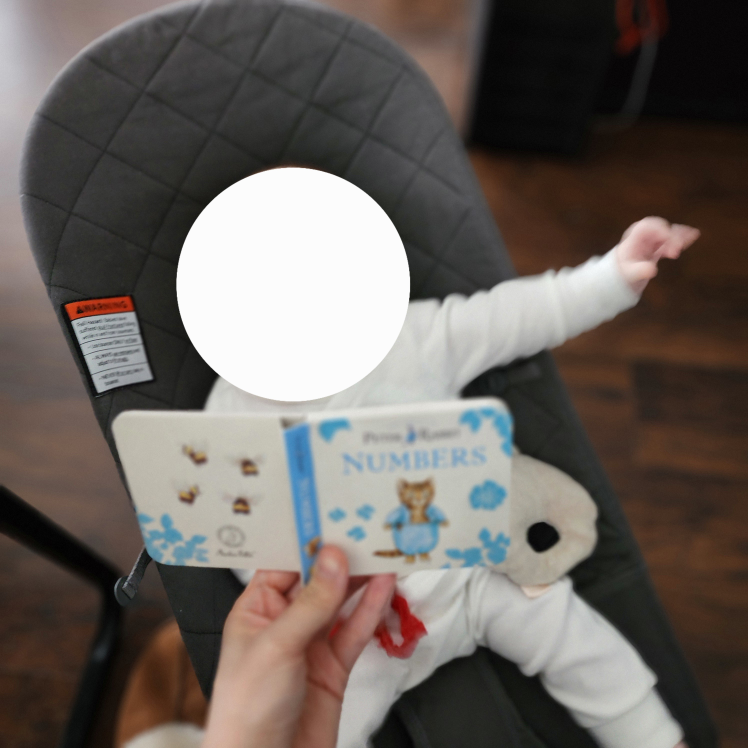 BabyBjörn Bouncer - Grey - photo 5