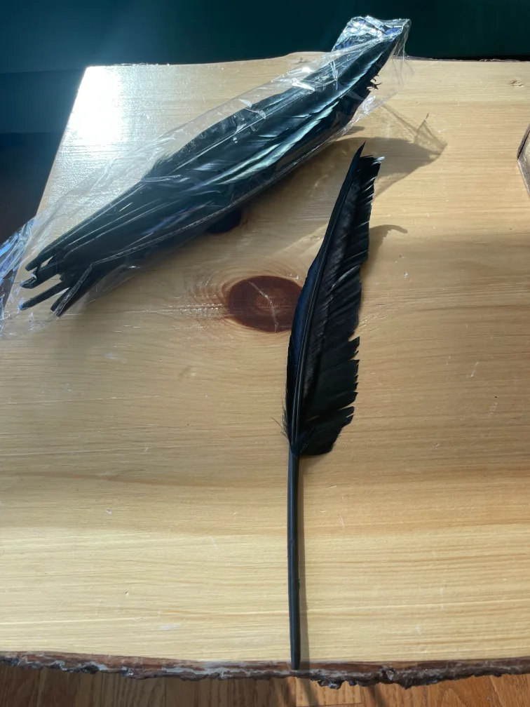 Black Feather for Crafts thumbnail