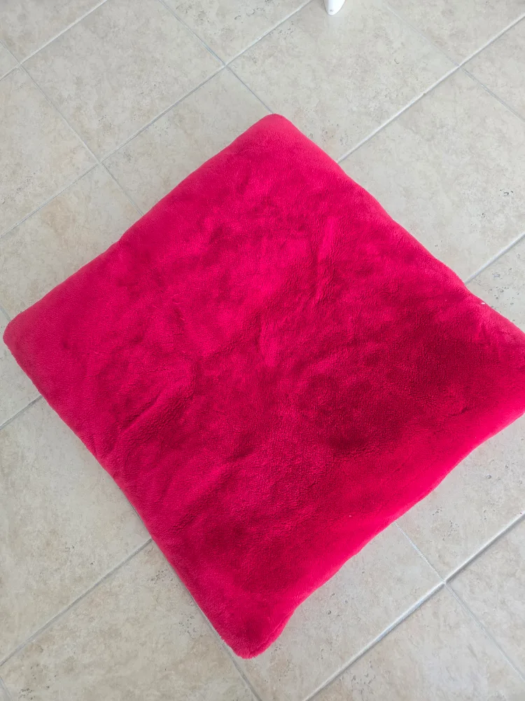 Two Red Fuzzy Floor Pillow thumbnail