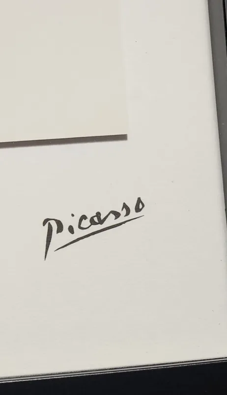 Picasso Framed Art Print image indicator(2)