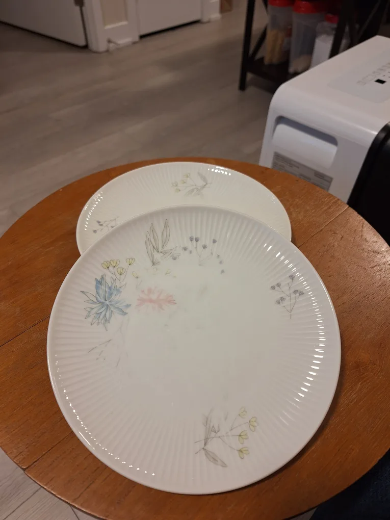 Thomas Germany Floral Plate x2 thumbnail