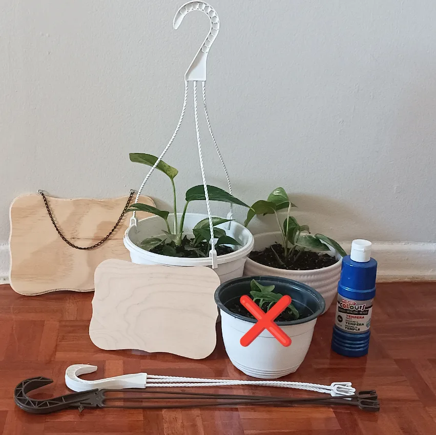 Golden Pothos thumbnail