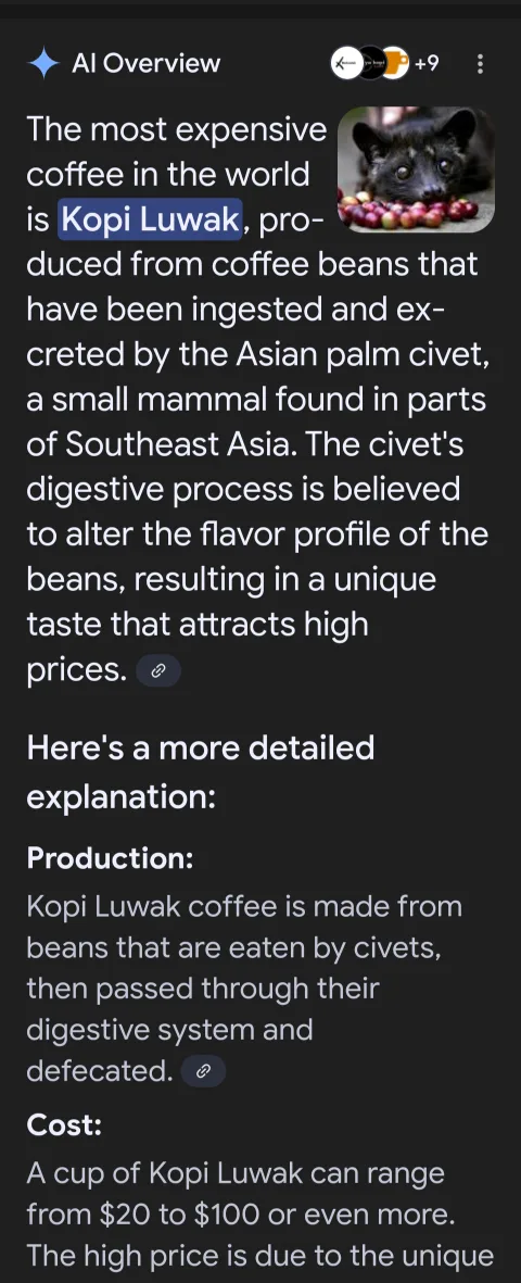 VERY RARE !! COFFEE LUWAK ( MOST EXSPENSIVE COFFEE IN THE WORLD) image indicator(6)