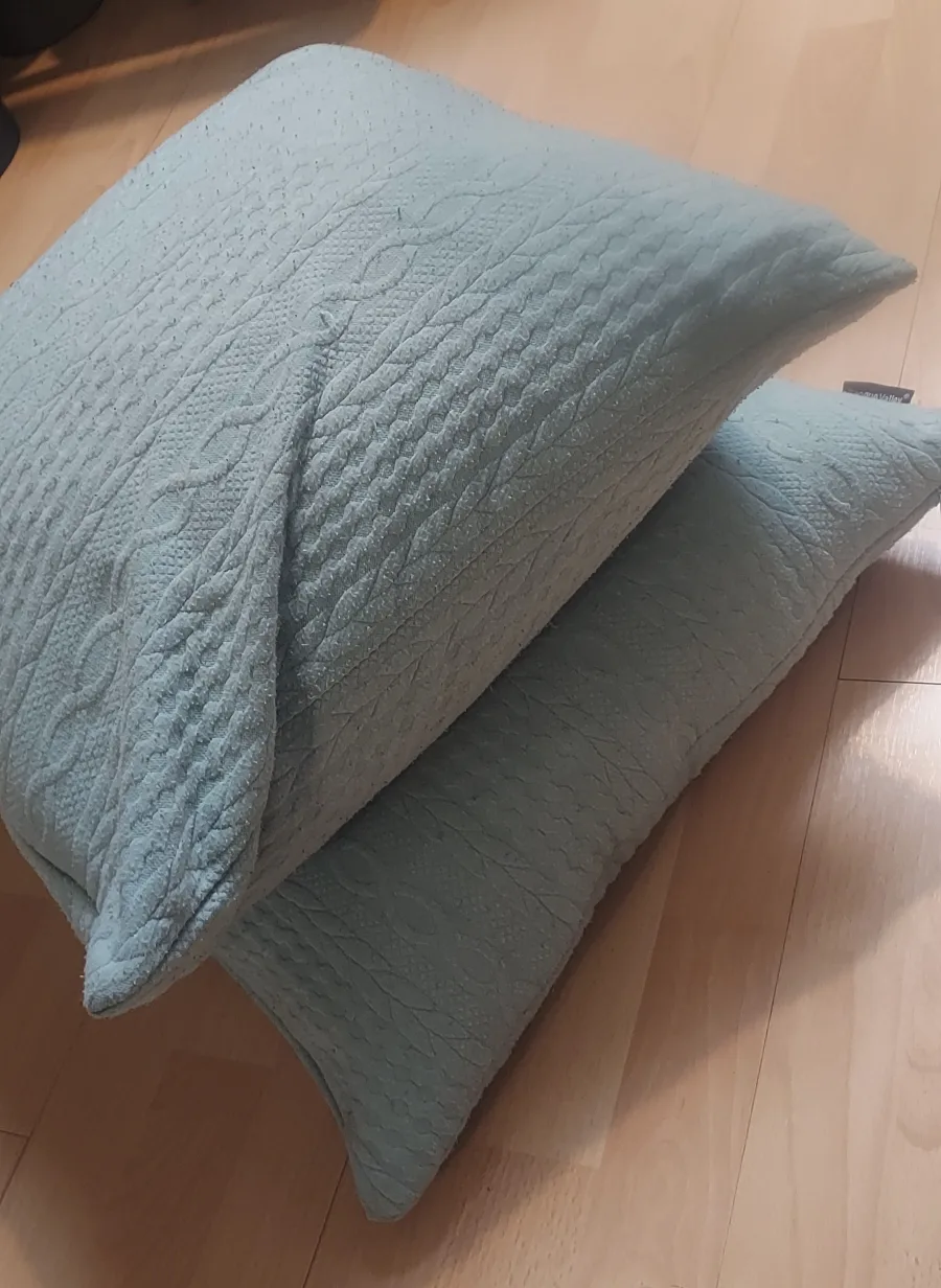 ✨️Moving Sale✨️ Throw Pillows thumbnail