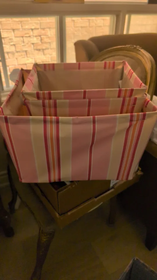 Pink Fabric Storage Bins thumbnail