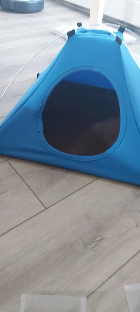 Cat toys image indicator(2)