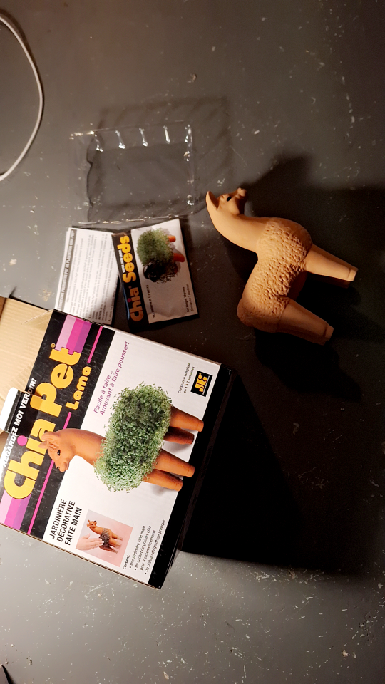 Chia Pet Llama - Decorative Planter - photo 3