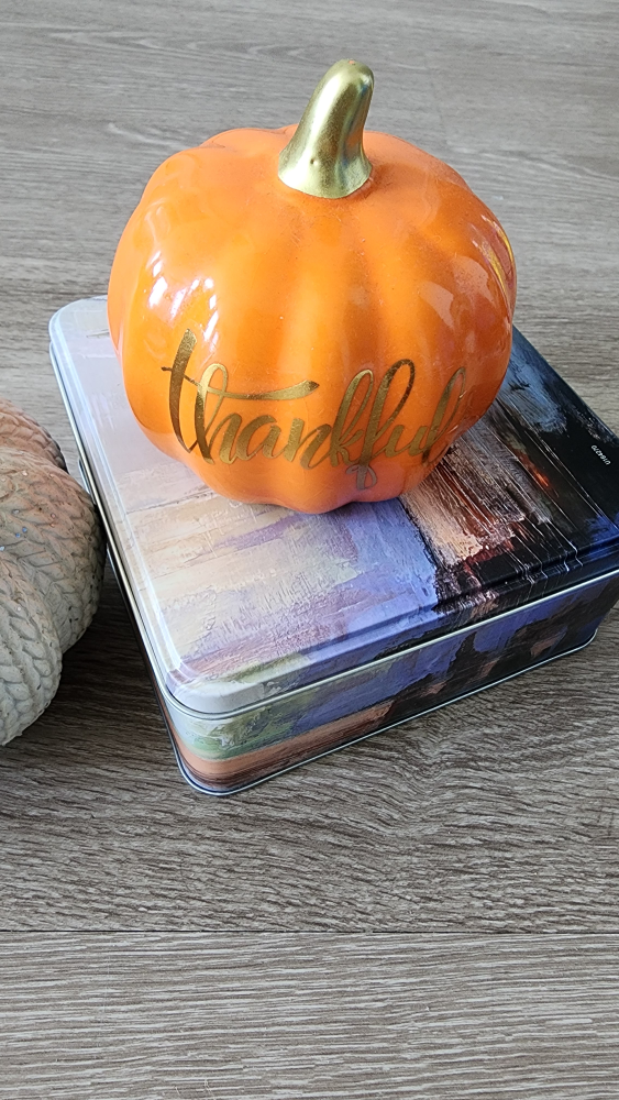 URGENT *Moving Sale* Succulent Plant, Planter & Pumpkins - photo 5