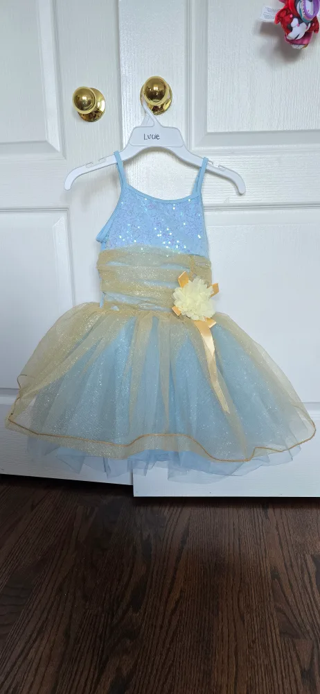 Gorgeous Blue & Gold Dance Costume thumbnail