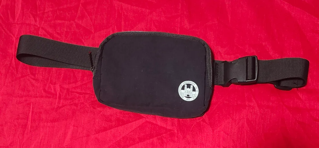BNWOT Black Belt Bag 🇨🇦 thumbnail