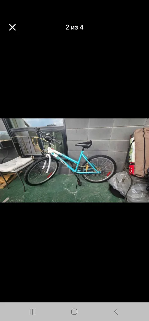 Triumph by Raleigh Challenger Bike image indicator(2)