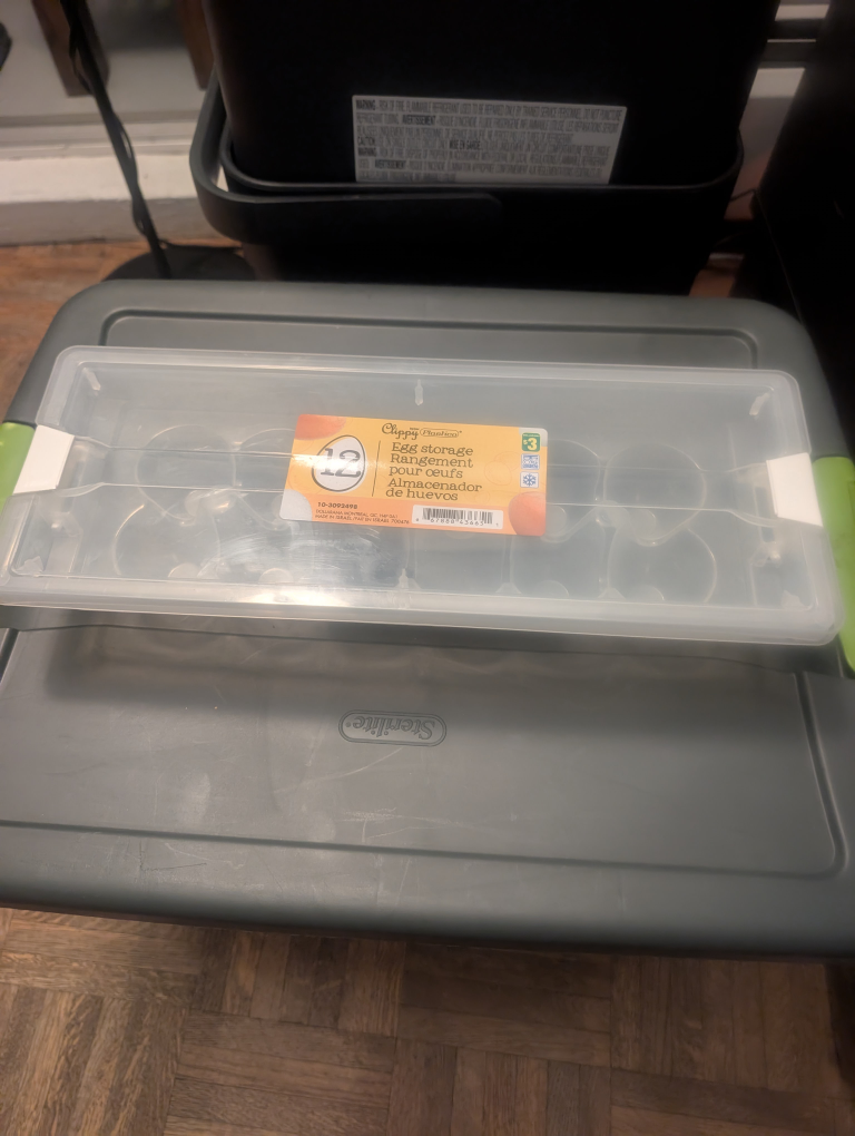 Sealed Egg Storage Container