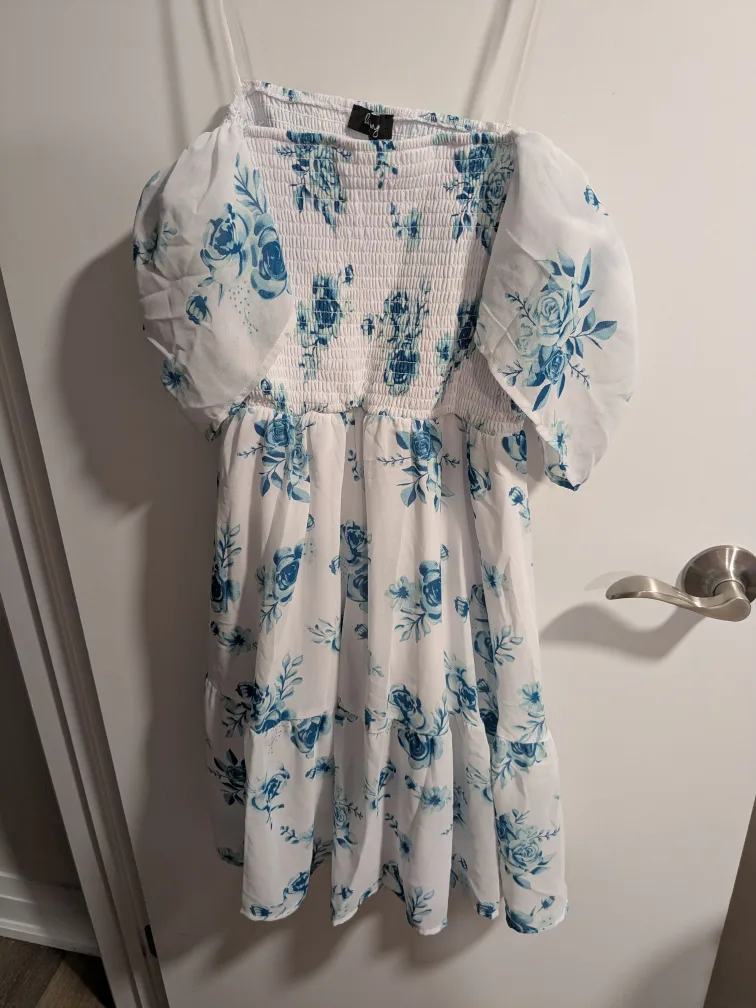 Blue Floral Dress thumbnail