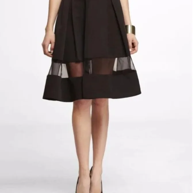 size 12 EXPRESS Black Skirt with Sheer Detail thumbnail