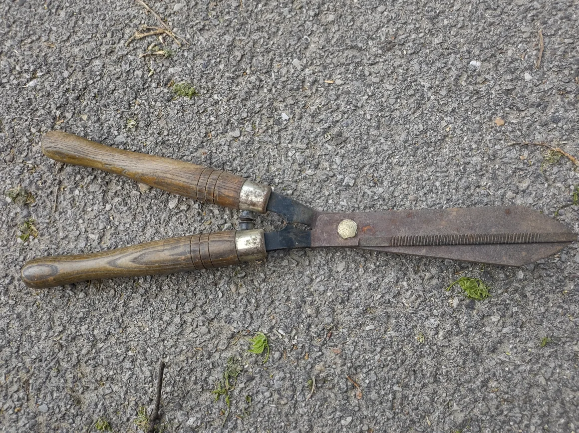 Garden Hedge Shears 🧡 thumbnail