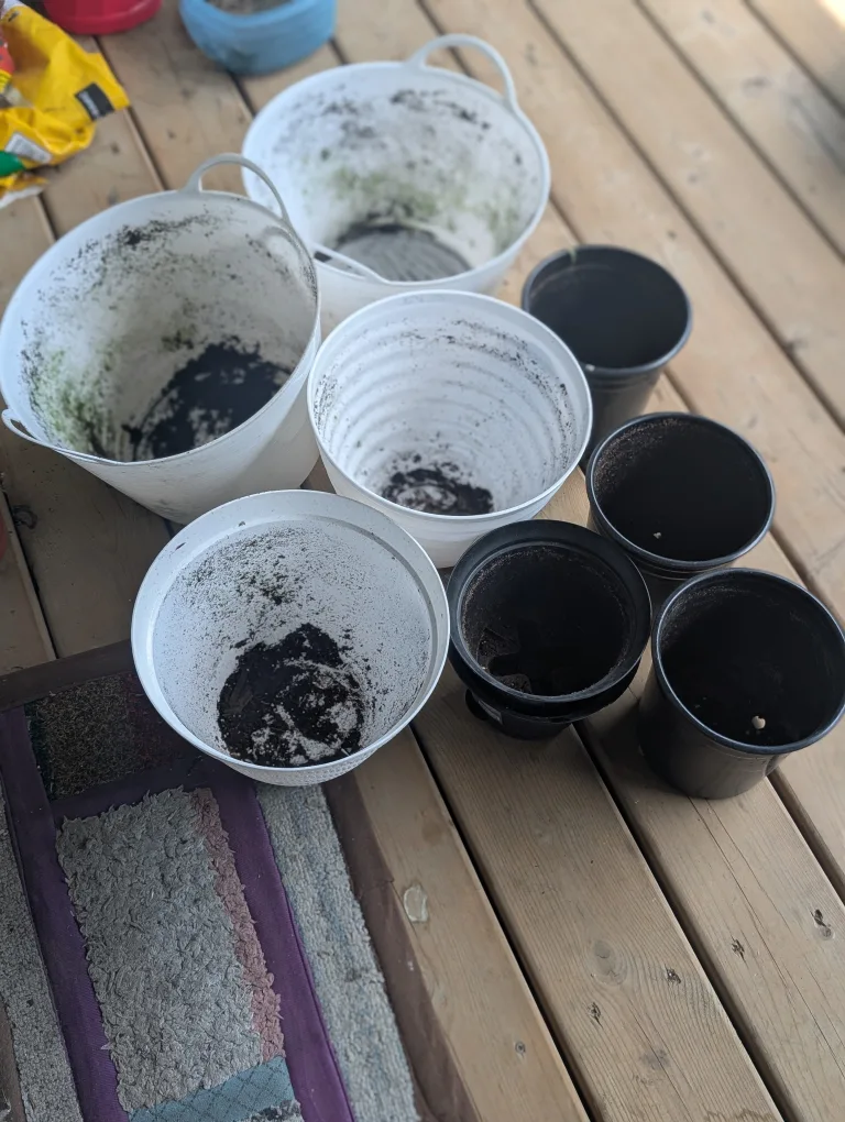 Used Flower Pots - Assorted Sizes thumbnail