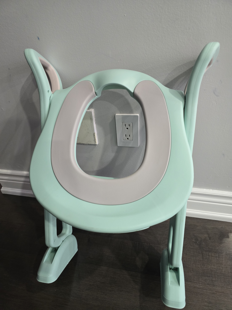 Potty Training Seat - Mint Green