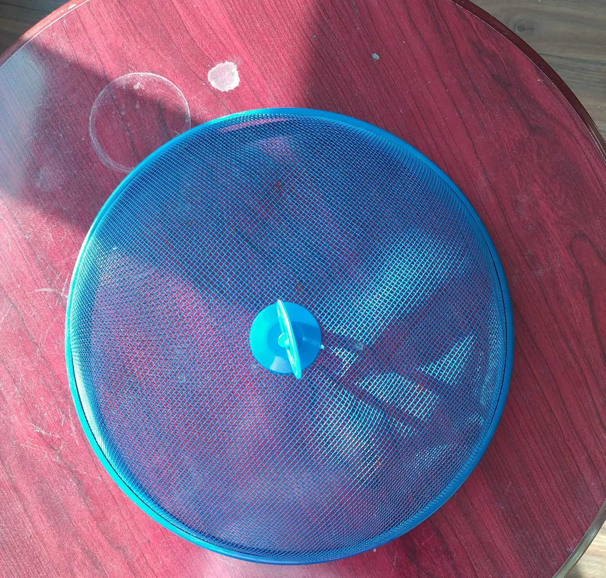 Blue Mesh Food Cover