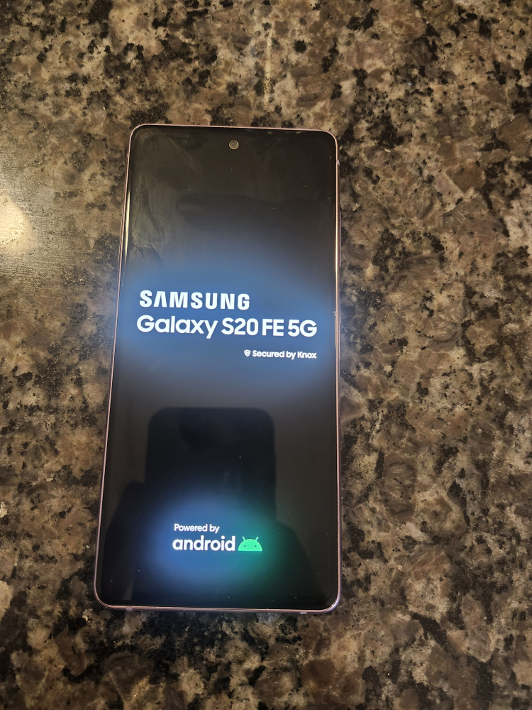 Samsung Galaxy S20 FE 5G - Pink