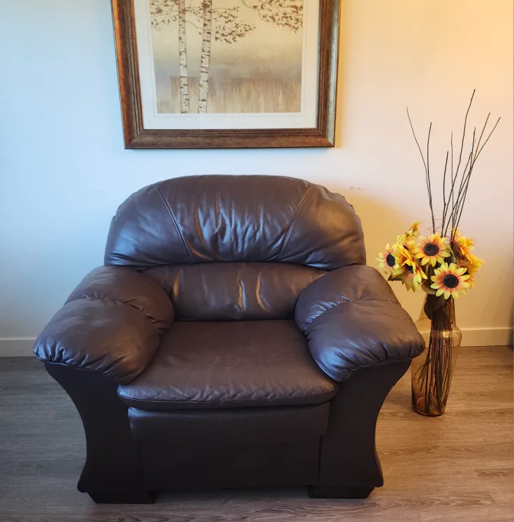 Luxurious Leather Armchair thumbnail