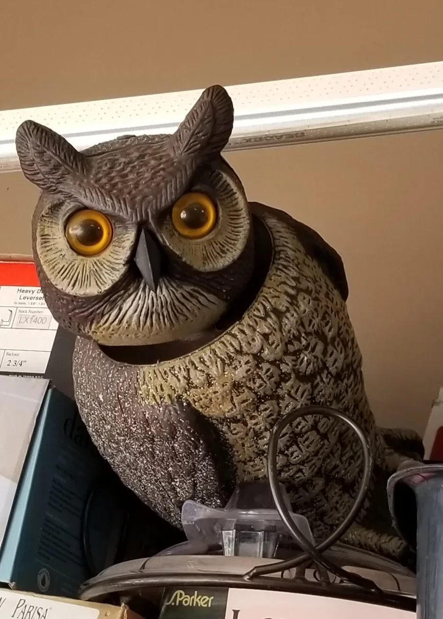 GARDEN/LAWN ITEMS - HAND HELD SPREADER/FERTILIZER & GARDEN OWL!! thumbnail