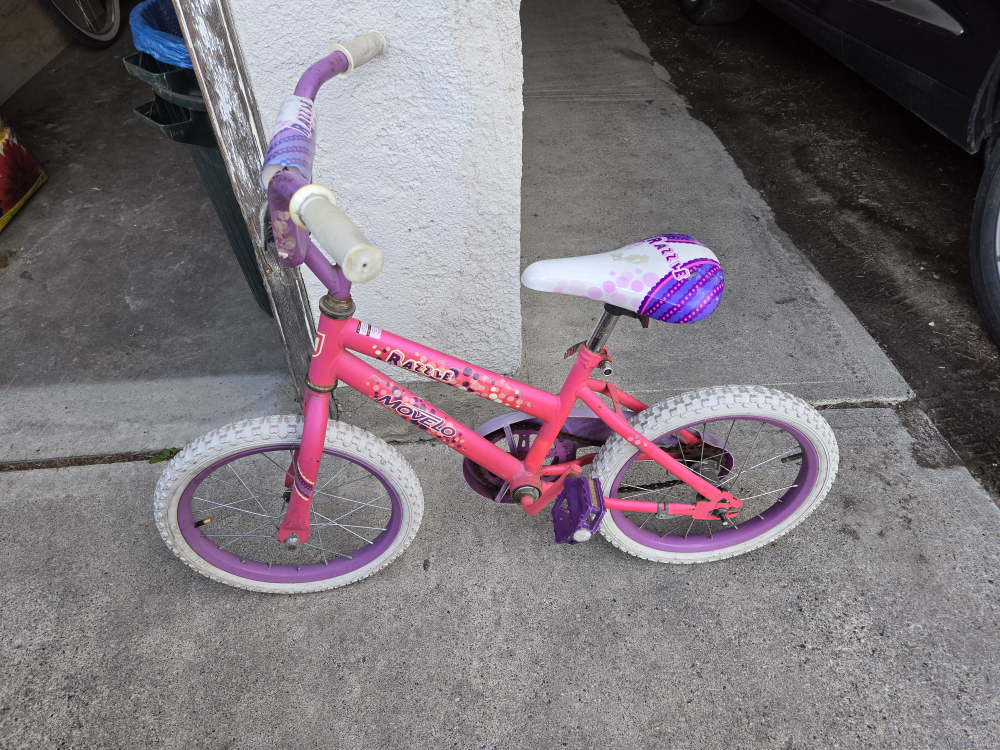 Razzle Movezio  Kids Bike - Pink & Purple