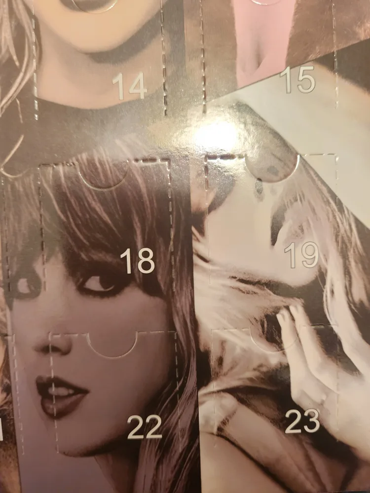 Taylor Swift Christmas Advent Calendar image indicator(3)