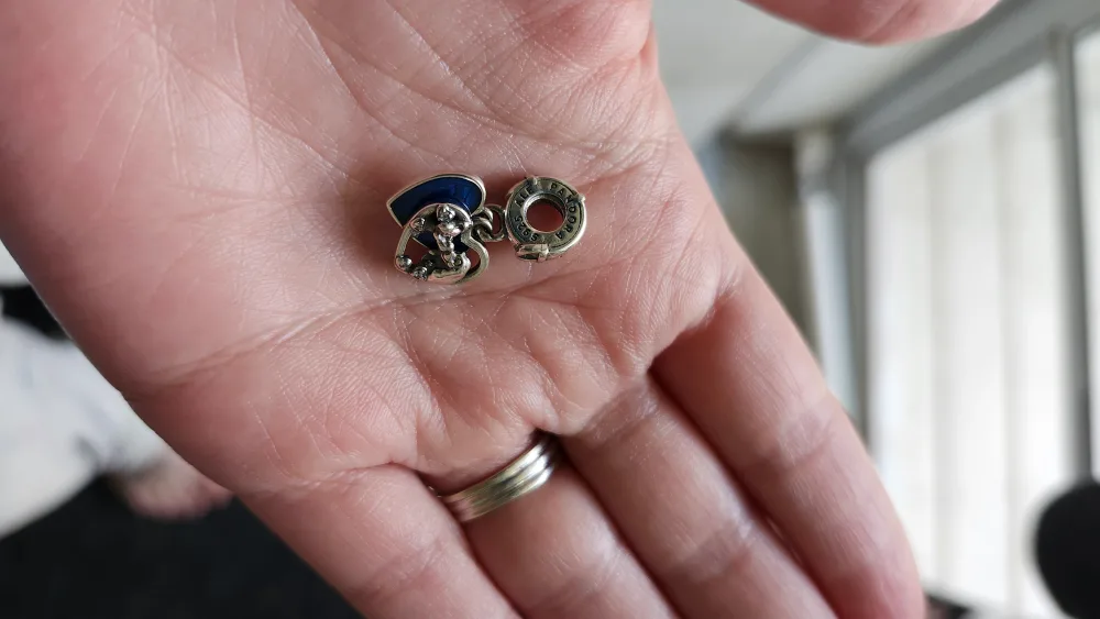 Pandora lady and the tramp Opposites Attract Charm thumbnail