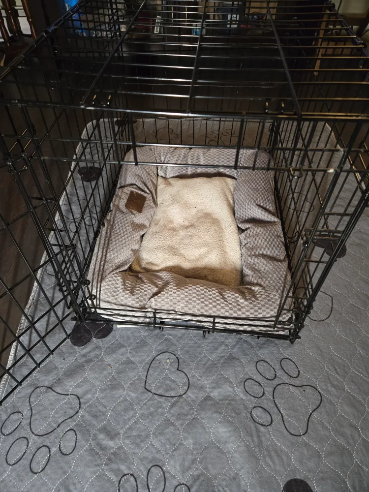 Foldable Dog Crate with Bed and Mat thumbnail