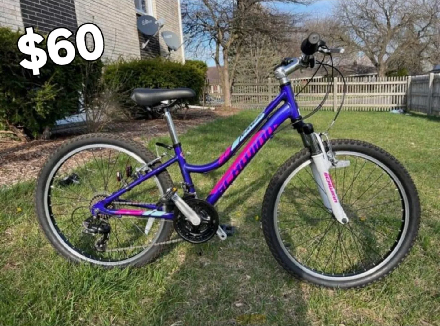 Schwinn Purple Mountain Bike thumbnail