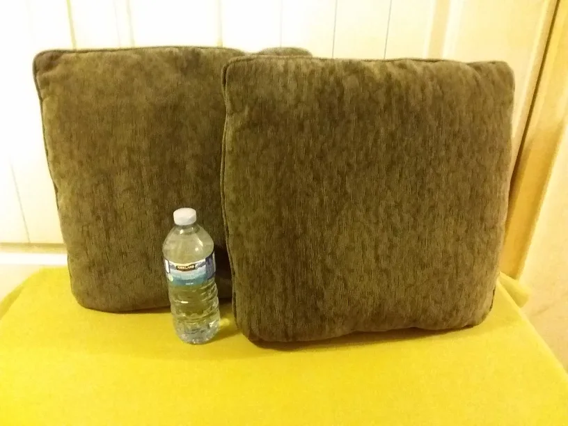 ➡️ Decorative Throw Pillows - Set of (2) image indicator(2)