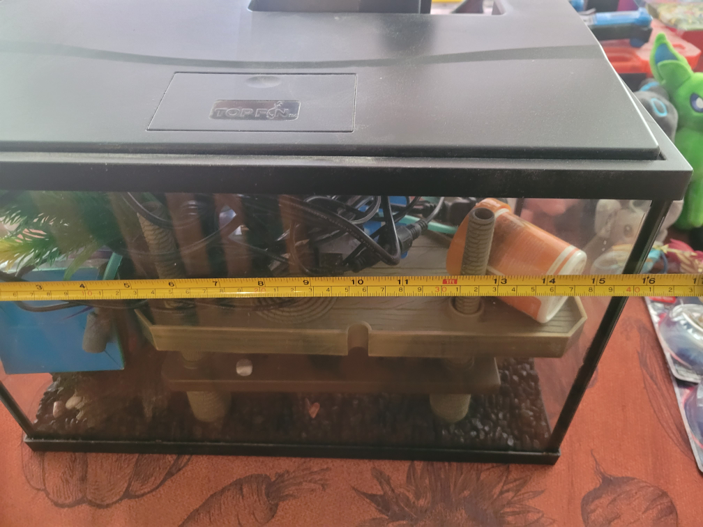 Aquarium 5 Gallon - photo 3